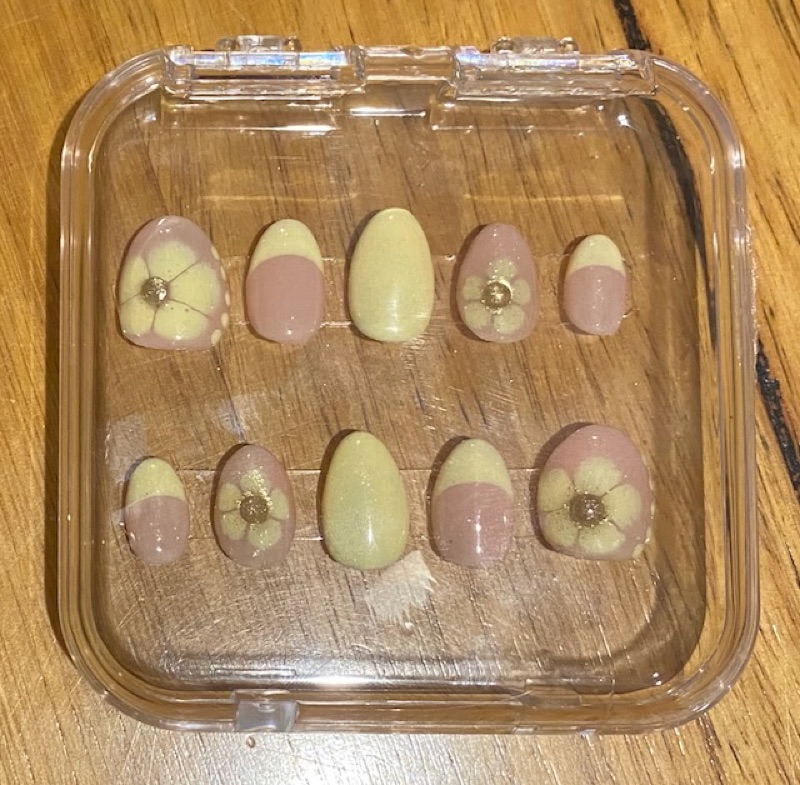 A set of ten handmade press-on nails in a clear case
